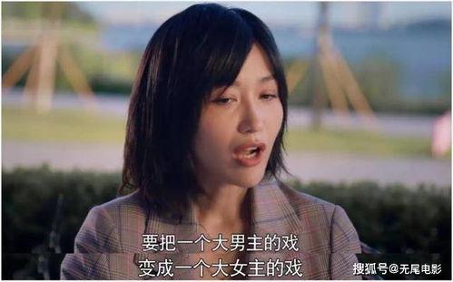 娱乐圈吃瓜视频大全集,吃瓜视频大全集深度解析